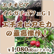 G`IsA CK`FtF G-1